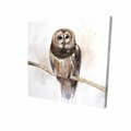 Fondo 12 x 12 in. Barred Owl-Print on Canvas FO2781034